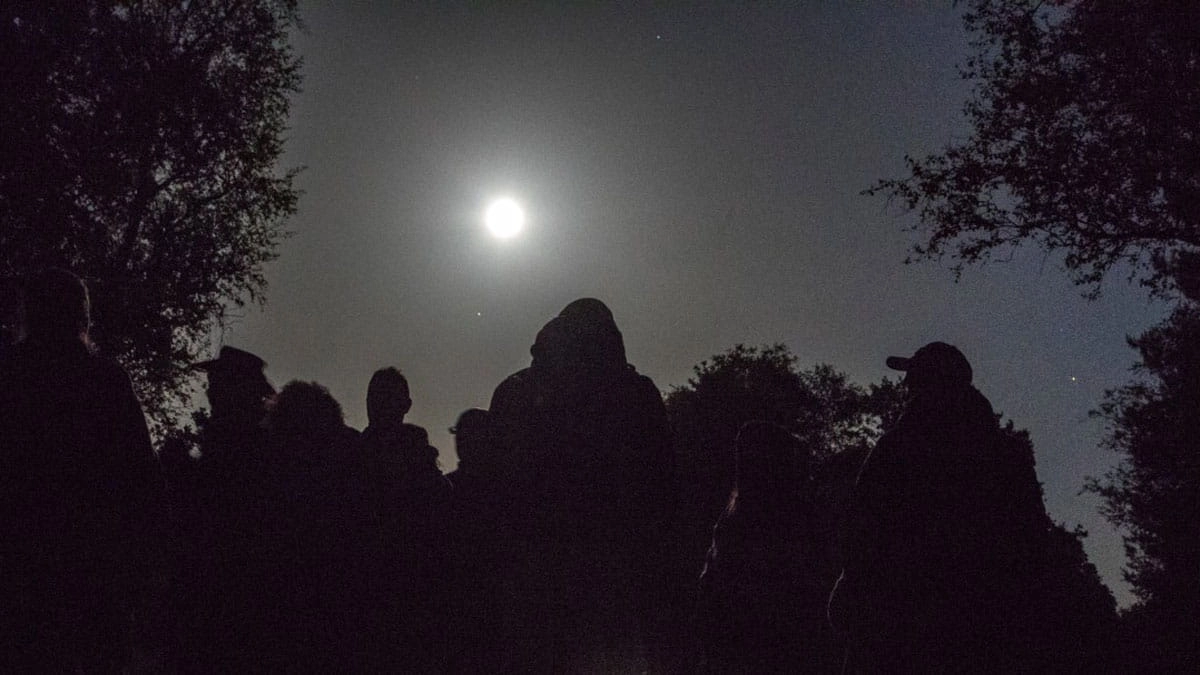 Vollemaanwandeling over de heide in ter Borg